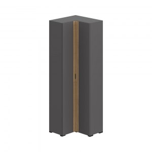 Нао ШК-4043 Шкаф 2-х створчатый угловой